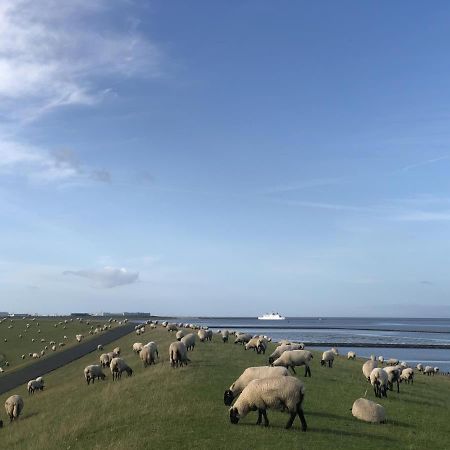 Wind Und Meer - Traumhaft An Der Nordsee Lejlighed Norddeich  Eksteriør billede