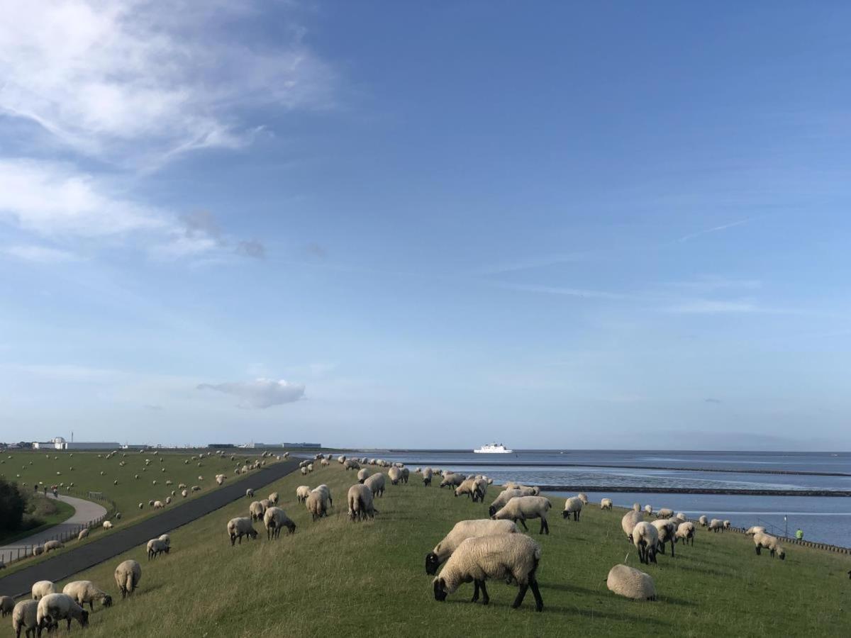 Wind Und Meer - Traumhaft An Der Nordsee Lejlighed Norddeich  Eksteriør billede